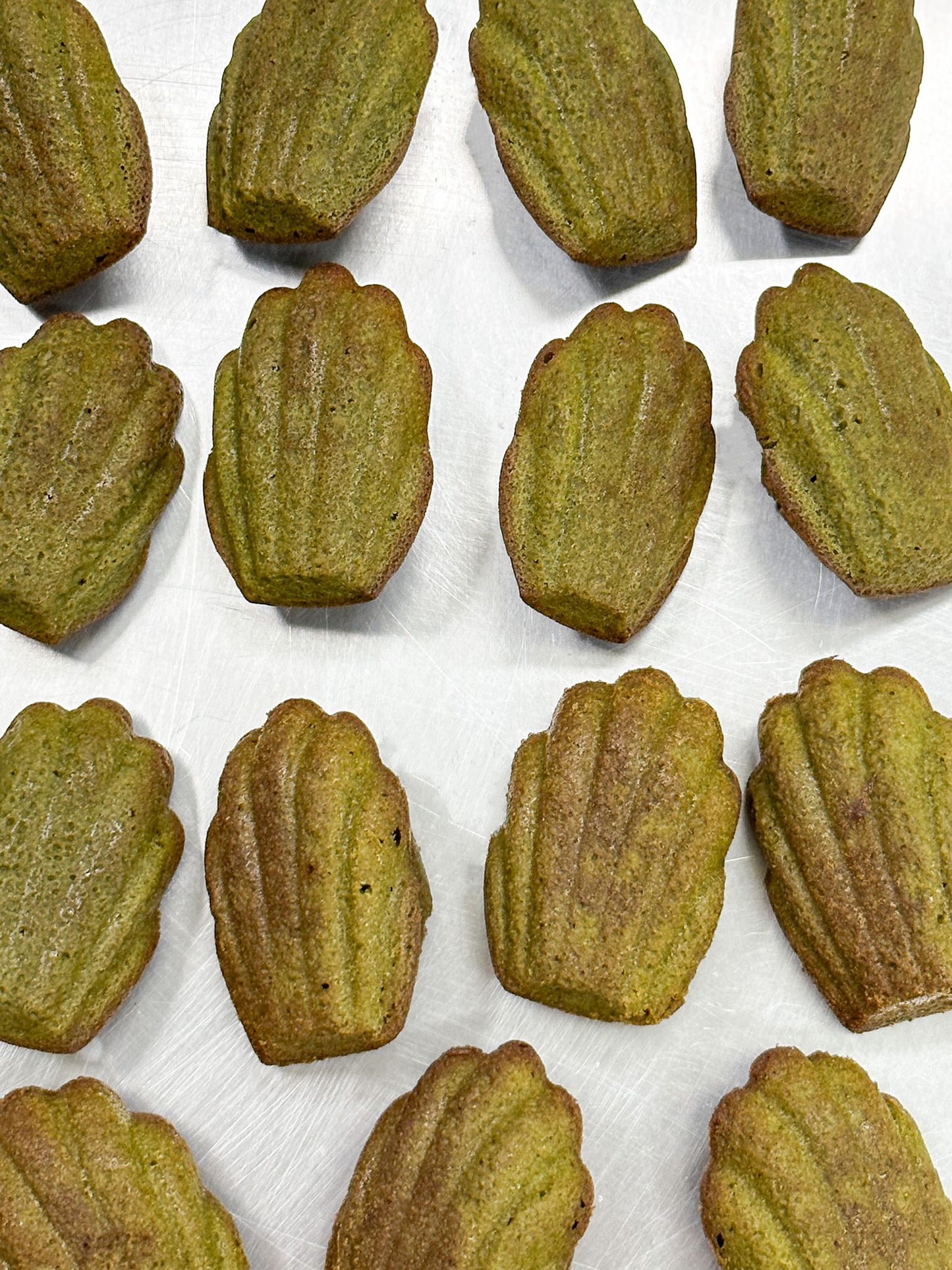 Matcha Madeleines (20 pieces in a box)