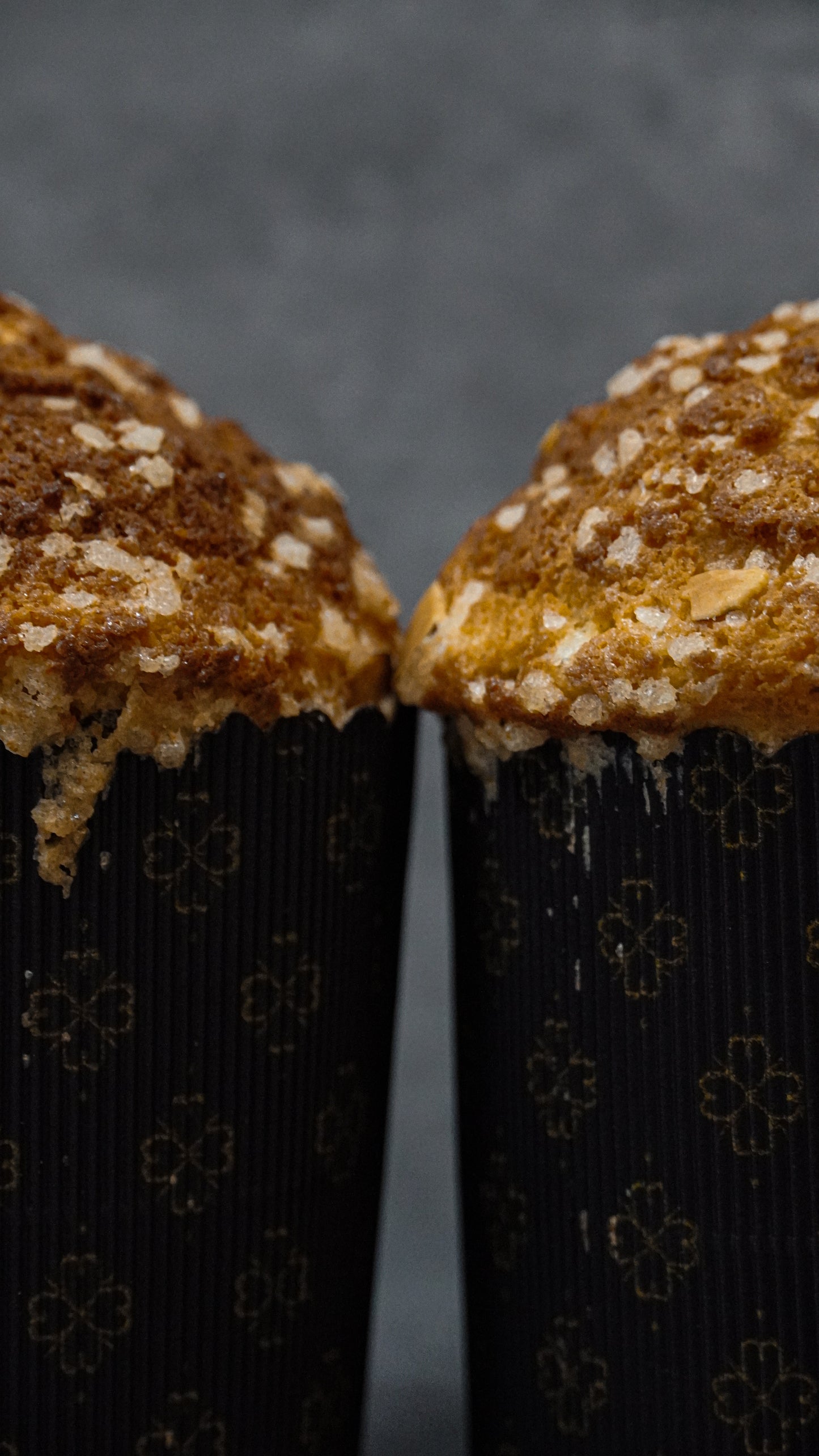 Panettone Bundle (Christmas Special)