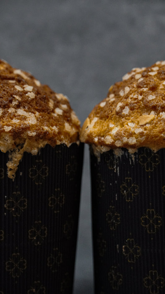 Panettone Bundle (Christmas Special)